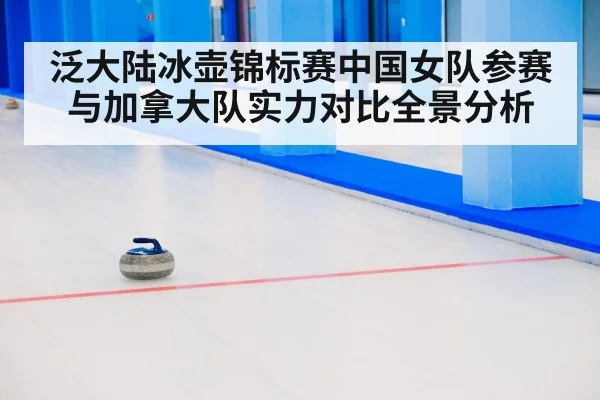 curling stone on ice